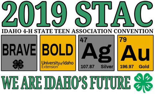 2019 STAC logo: we are idaho's future